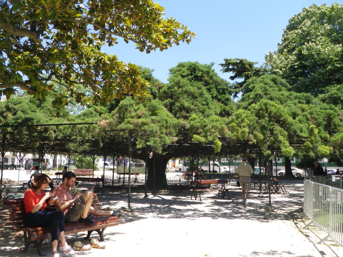 Lovelystay - Artsy Real Lisboa المظهر الخارجي الصورة